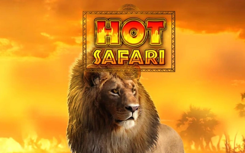 Partez en voyage avec Hot Safari sur la machine à sous AbuKing.